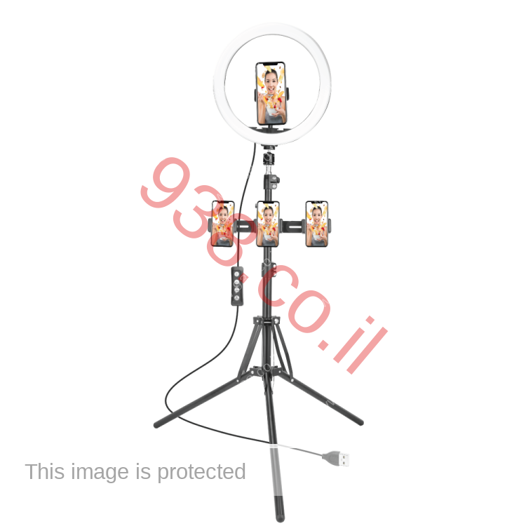 רינג לייט גדול רצפתי